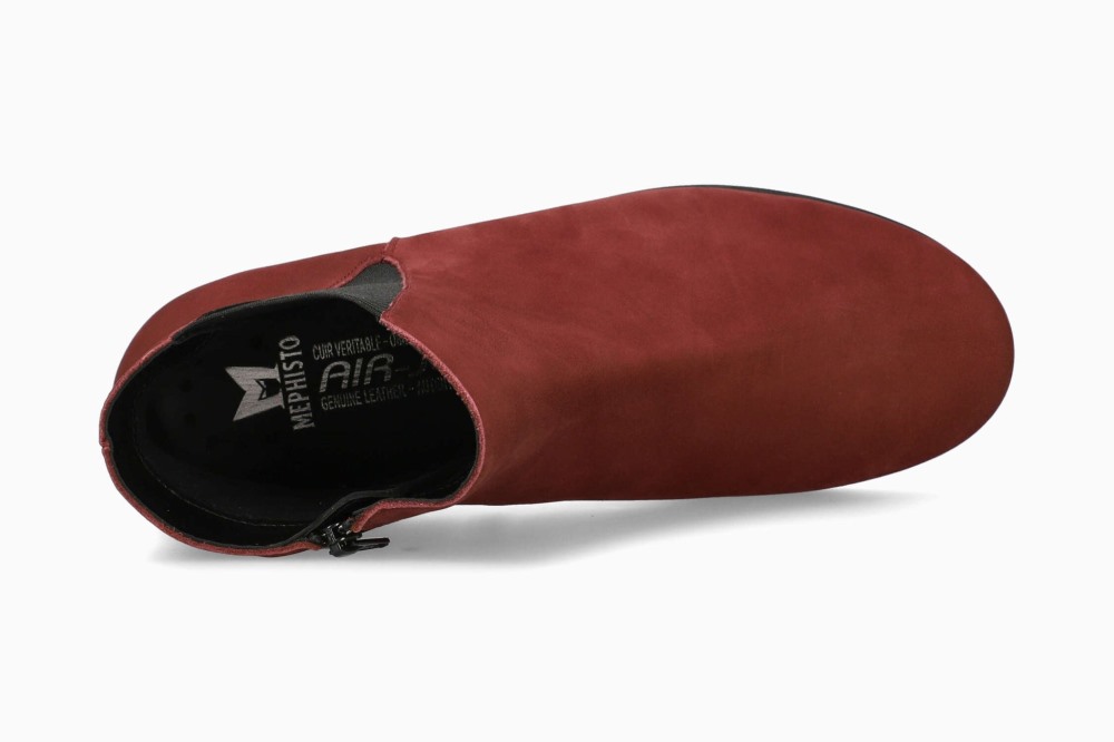 Mephisto Rafaelle - Wine