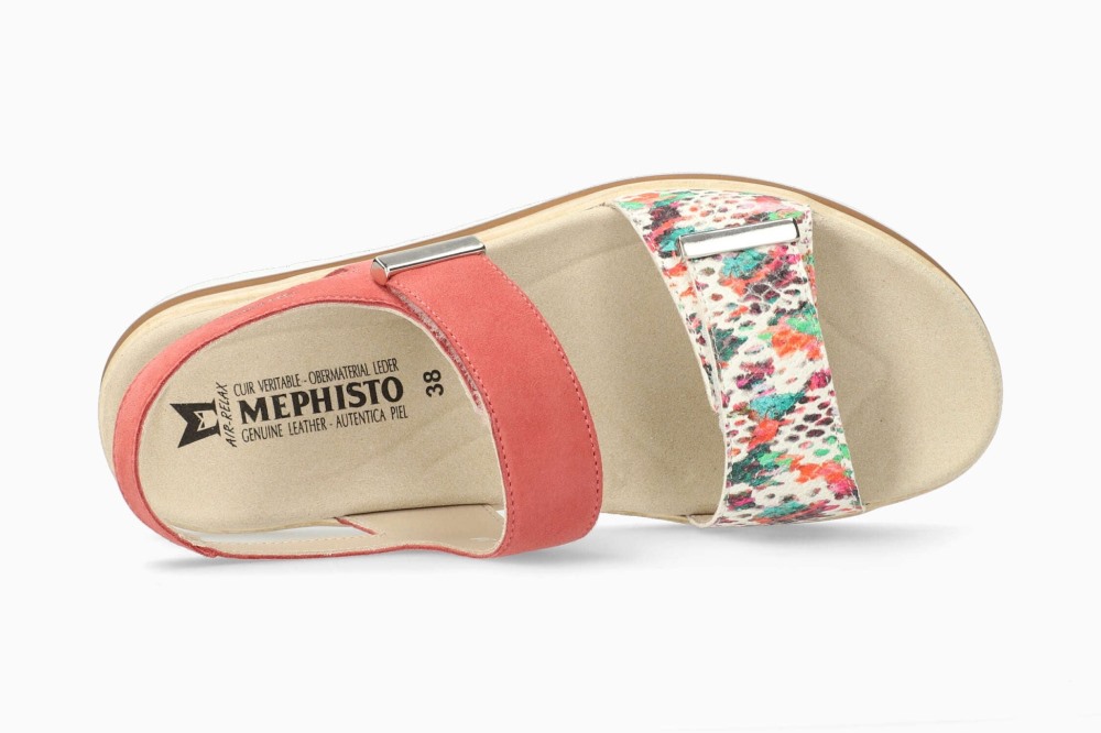Mephisto Dominica - Multicoloured